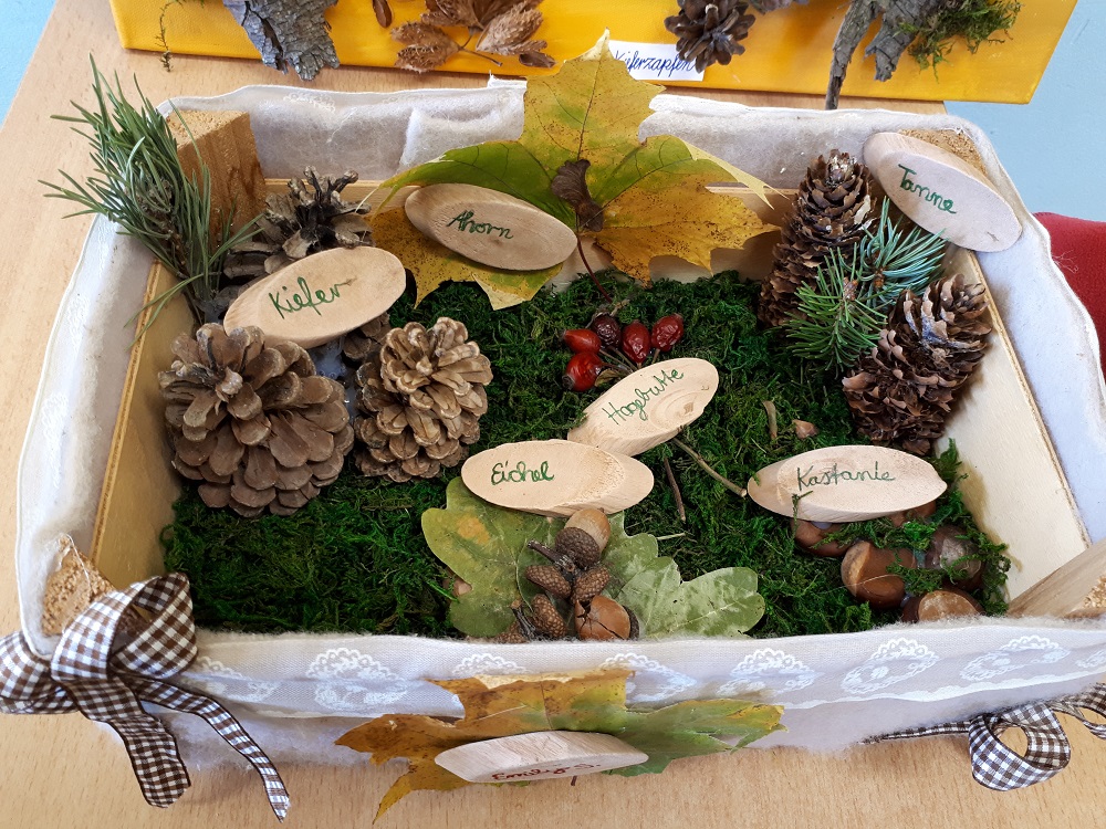 Herbst in der Kiste Grundschule Trebsen